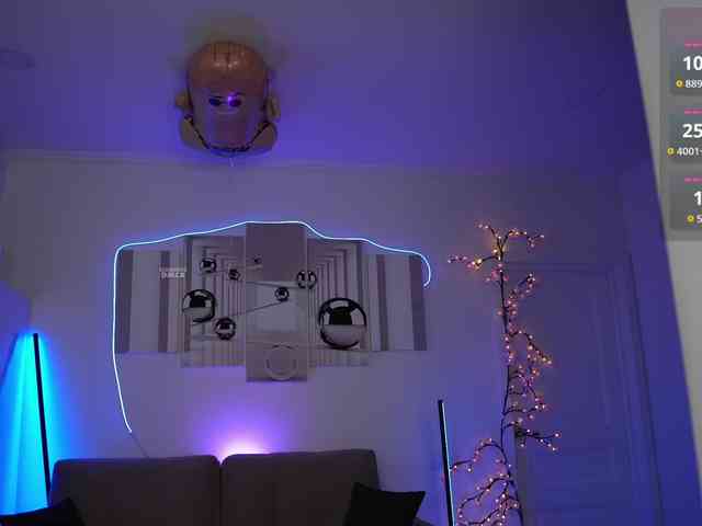 SayYesS webcam