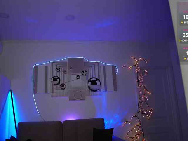 SayYesS webcam