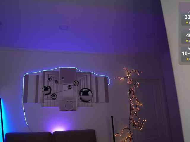 SayYesS webcam