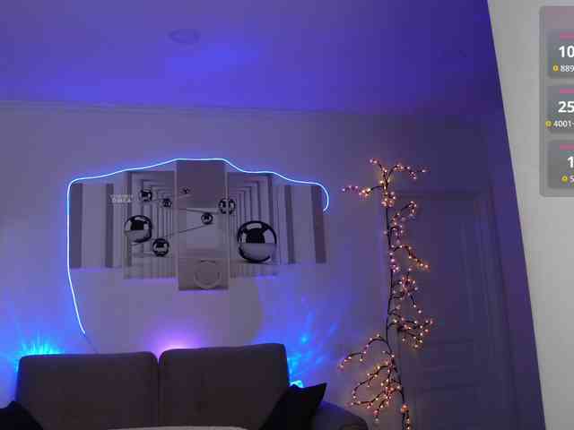 SayYesS webcam