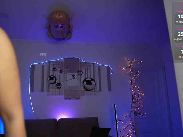 SayYesS webcam