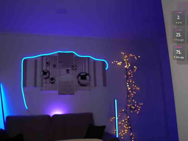 SayYesS webcam