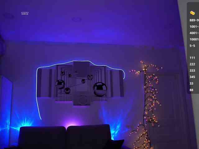 SayYesS webcam