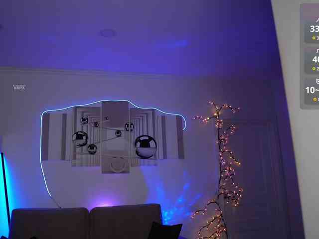 SayYesS webcam