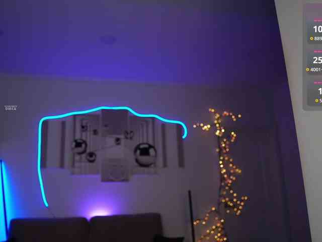 SayYesS webcam