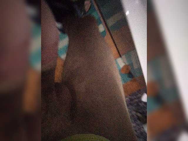 mister88777