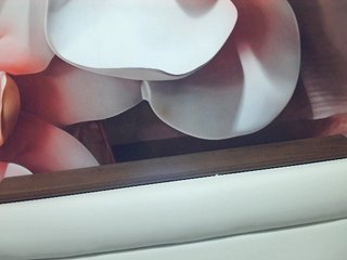 Lilia103