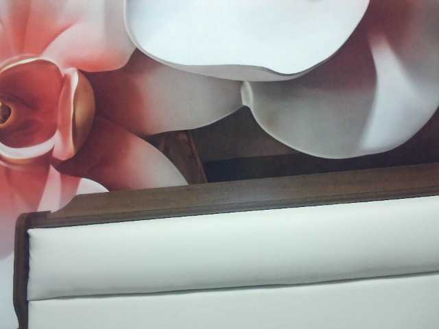 lilia103 online