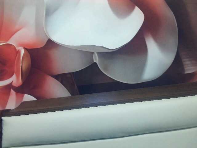 Lilia103
