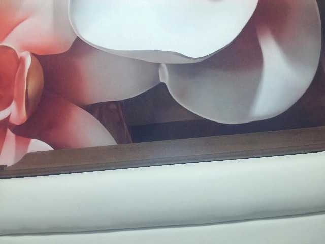 Lilia103
