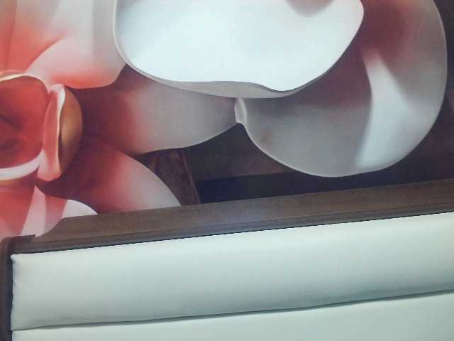 Lilia103