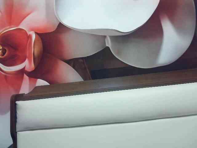 Lilia103 webcam