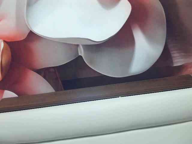 Lilia103 webcam