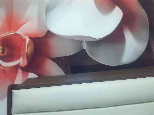 Lilia103 webcam