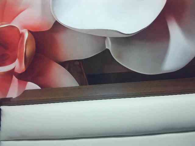 Lilia103 webcam