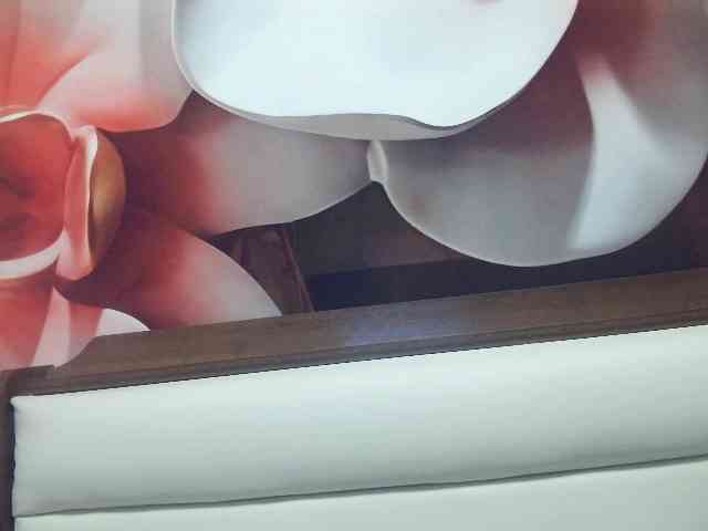 Lilia103 webcam
