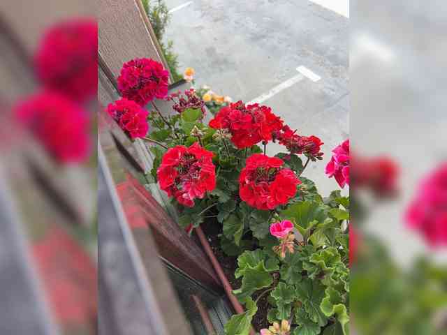 jessykm123