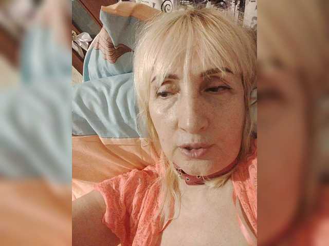 pautina100