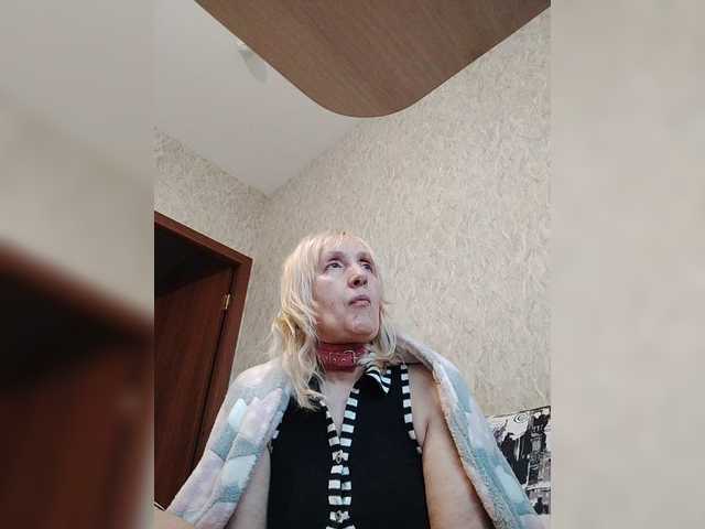 pautina100 online