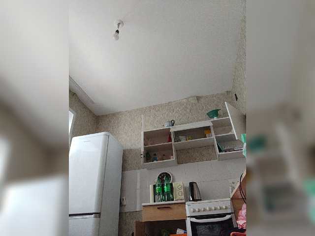 pautina100