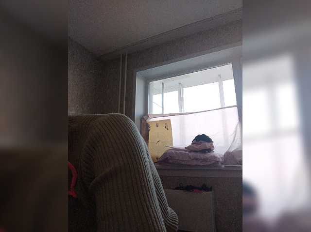 pautina100
