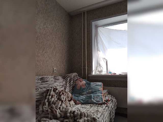 pautina100