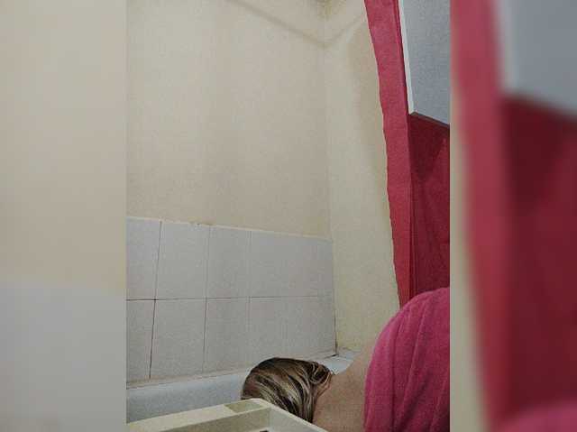 pautina100