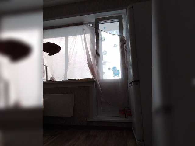 pautina100