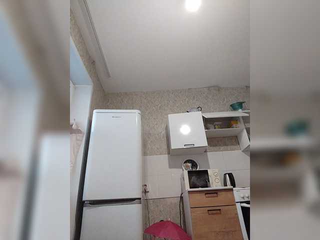 pautina100