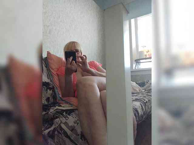 Model: pautina100