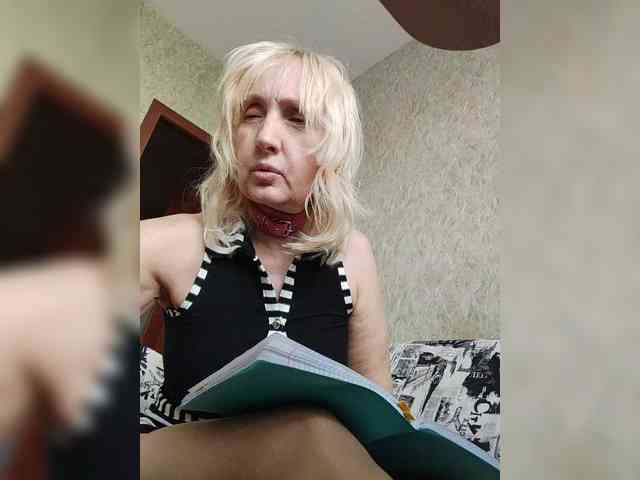 Model: pautina100