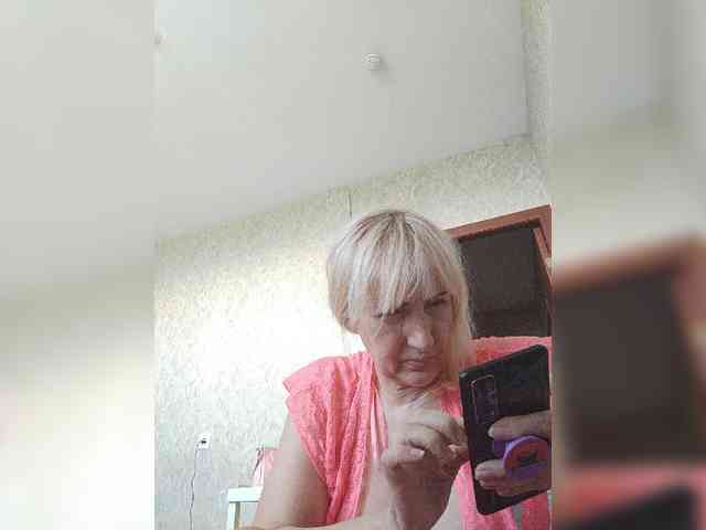 Model: pautina100