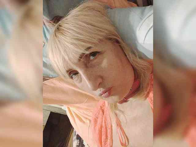 pautina100 webcam