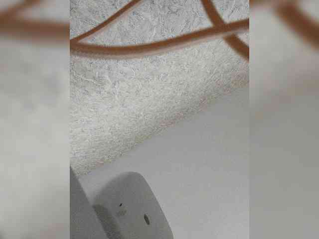 pautina100 webcam