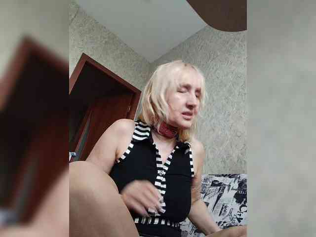 Model: pautina100