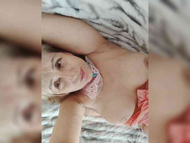 Model: pautina100