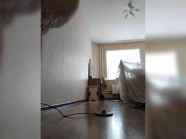 pautina100 webcam