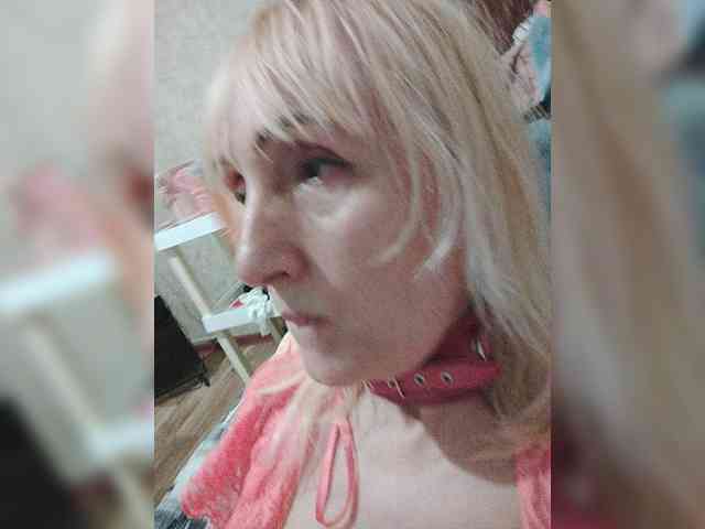 Model: pautina100