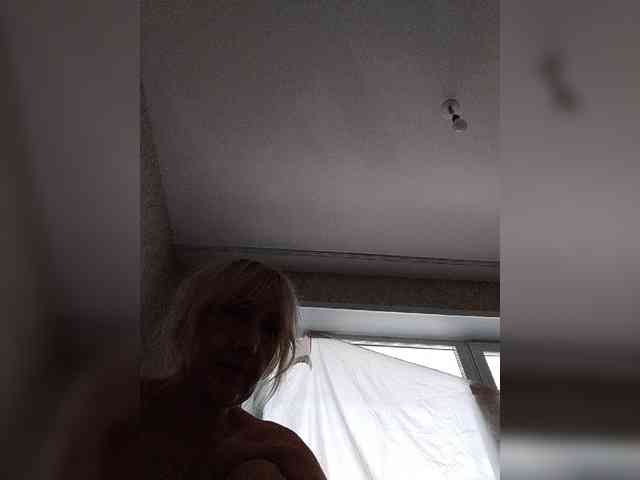 Model: pautina100