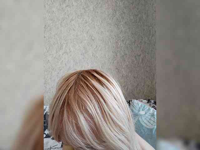 Model: pautina100