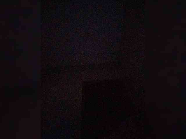pautina100 webcam