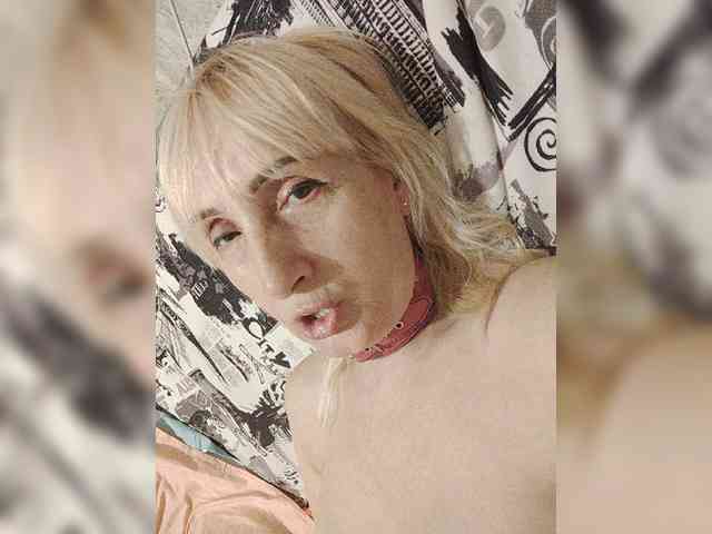 Model: pautina100