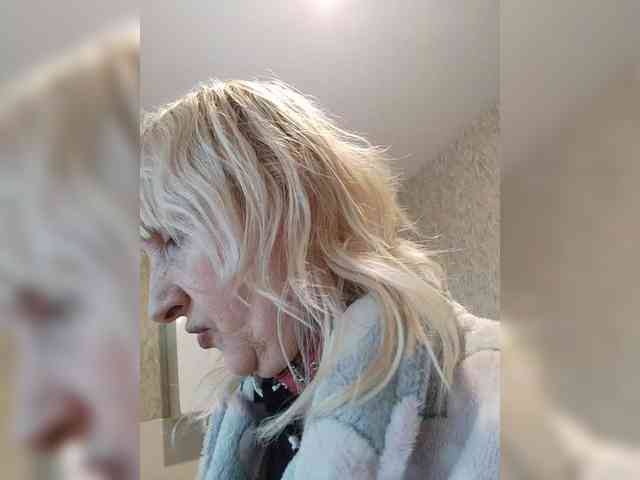 Model: pautina100