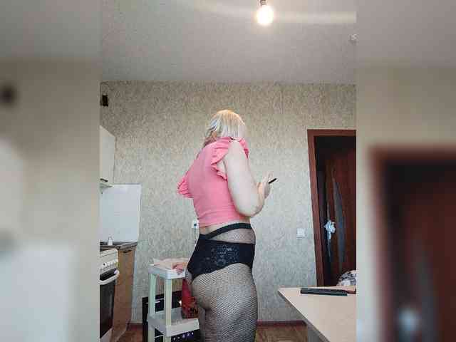 Model: pautina100