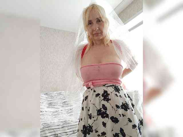 Model: pautina100