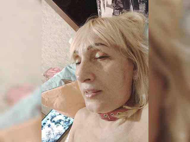 pautina100
