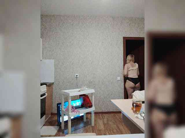Model: pautina100