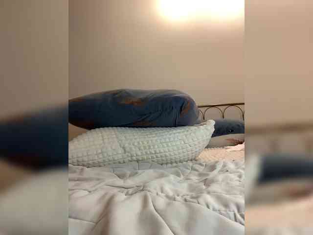 AlenaRai webcam