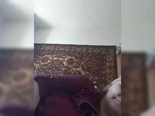 Modelo: gannalets