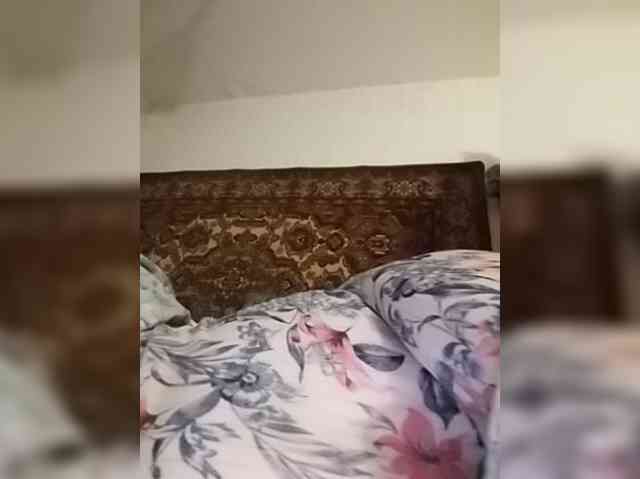 gannalets webcam